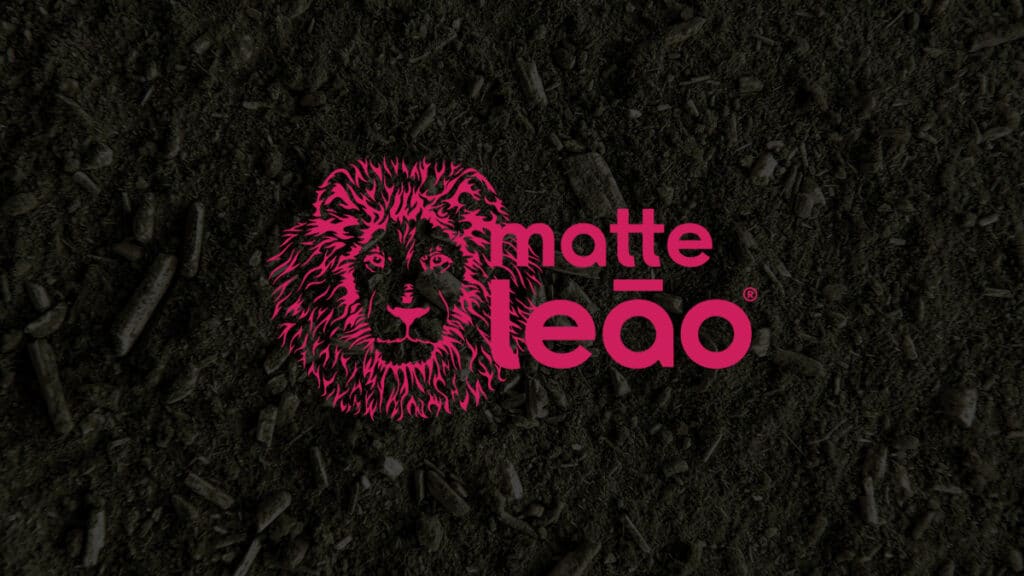 fundo-de-erva-mate-logo-matte-leao-a-frente