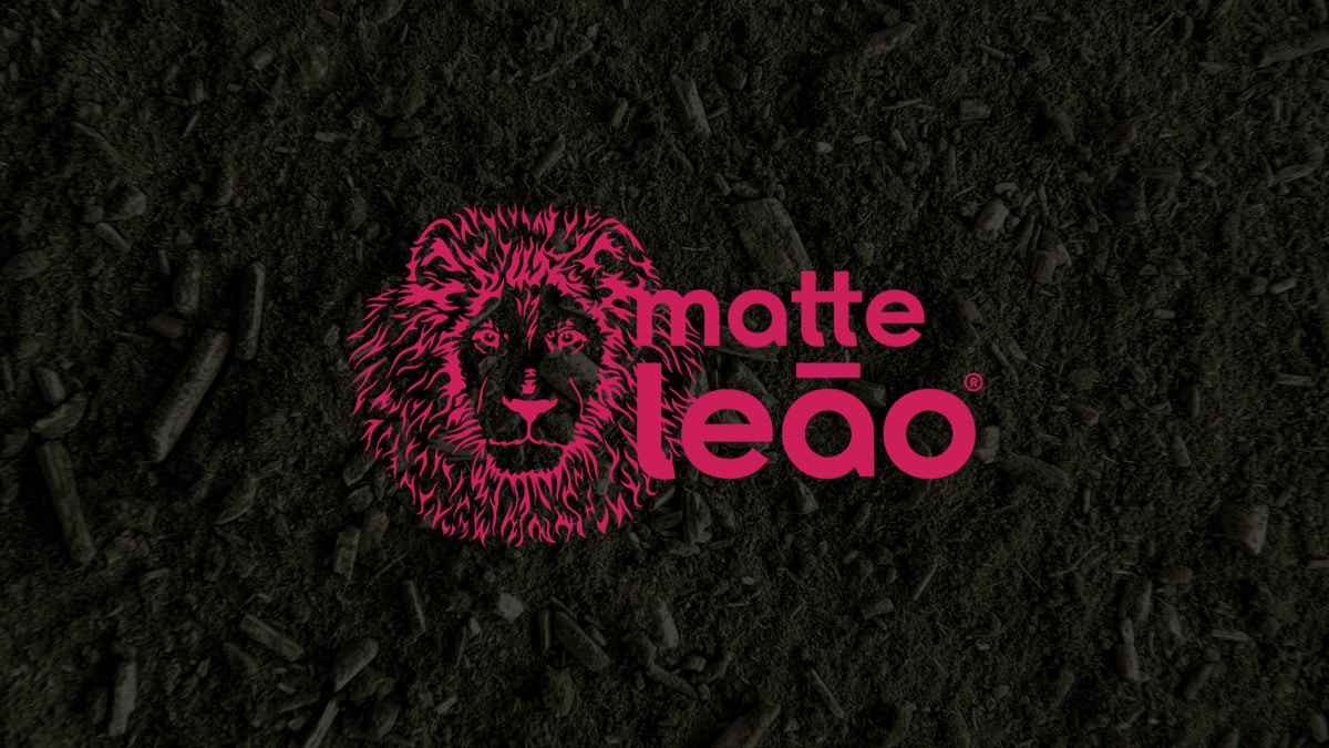 Matte Leão: o chá paranaense que conquistou as praias, as mesas e o Brasil