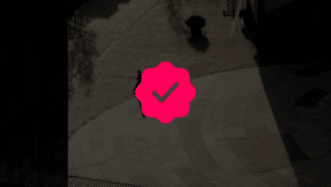 ícone do verificado das redes sociais